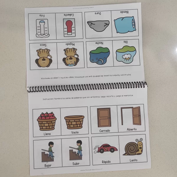 Librito Sinónimos y Antónimos